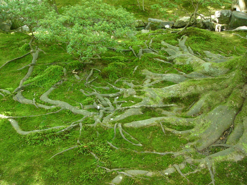 Garten um den Ginkaku-Ji