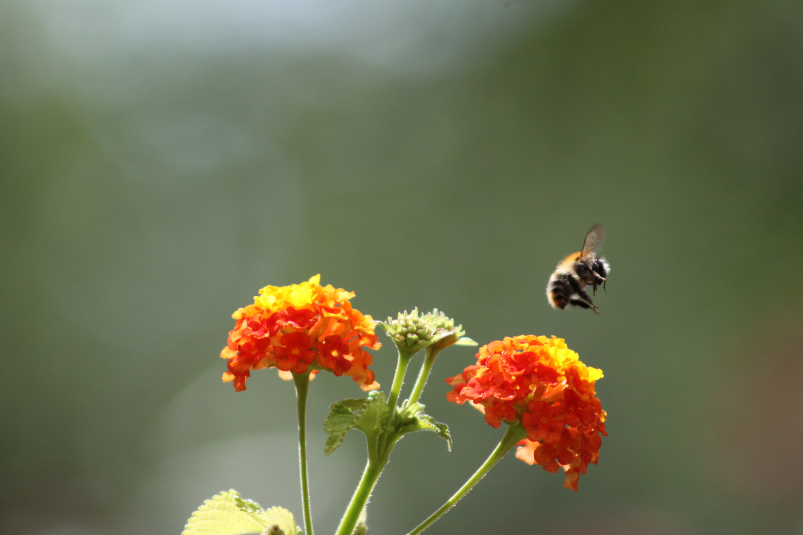 Garten und Co.