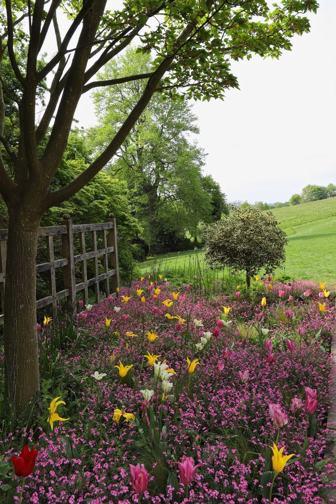 Garten und Landschaft in Standen (2019_05_01_EOS 6D Mark