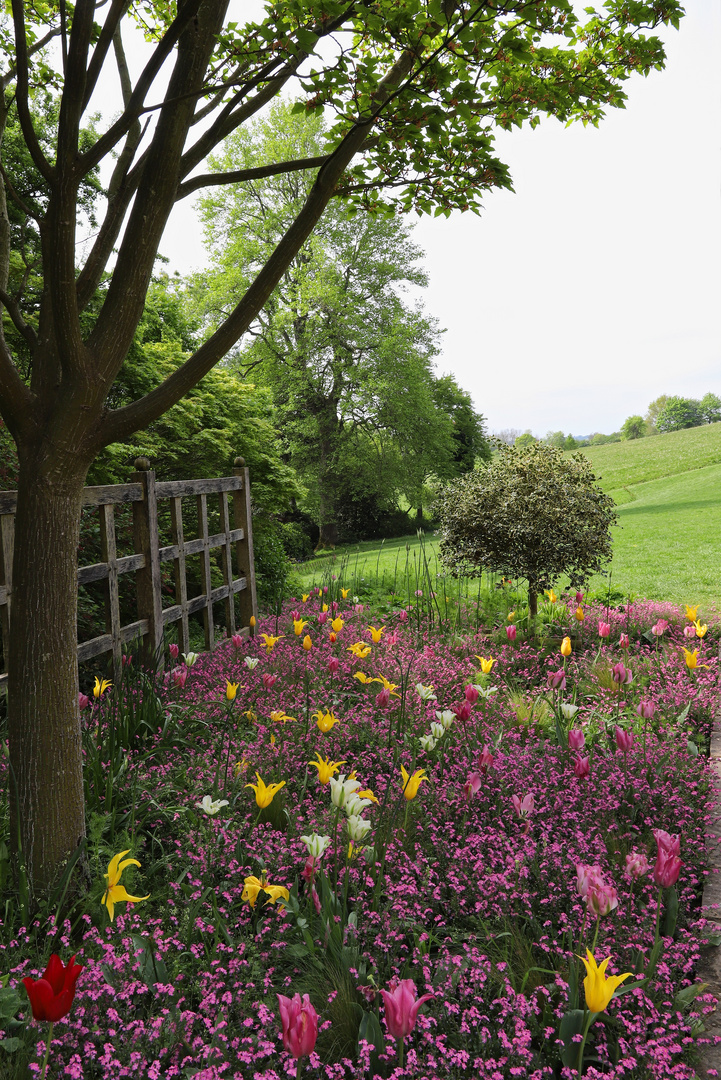 Garten und Landschaft in Standen (2019_05_01_EOS 6D Mark II_1783_ji