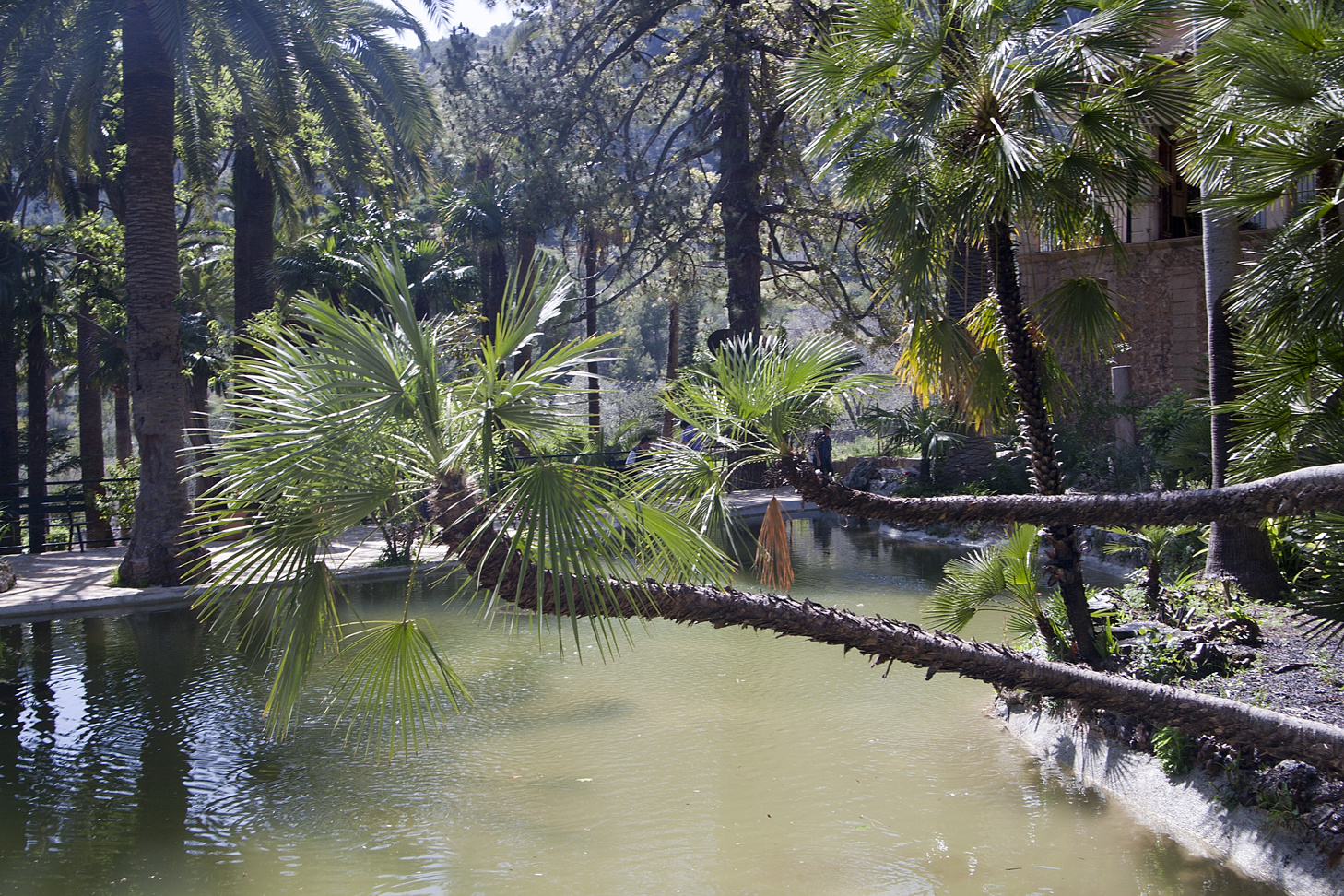 Garten von Alfabia , Mallorca Foto & Bild landschaft