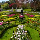 Garten von Lanhydrock