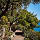 Garten von Monaco mit Blick aufs Mittelmeer