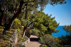 Garten von Monaco mit Blick aufs Mittelmeer