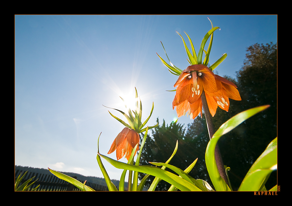 Garten von unten