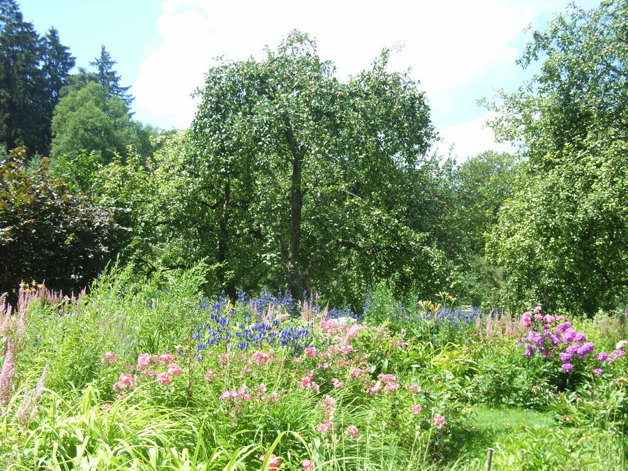 Garten zum Wohlfühlen