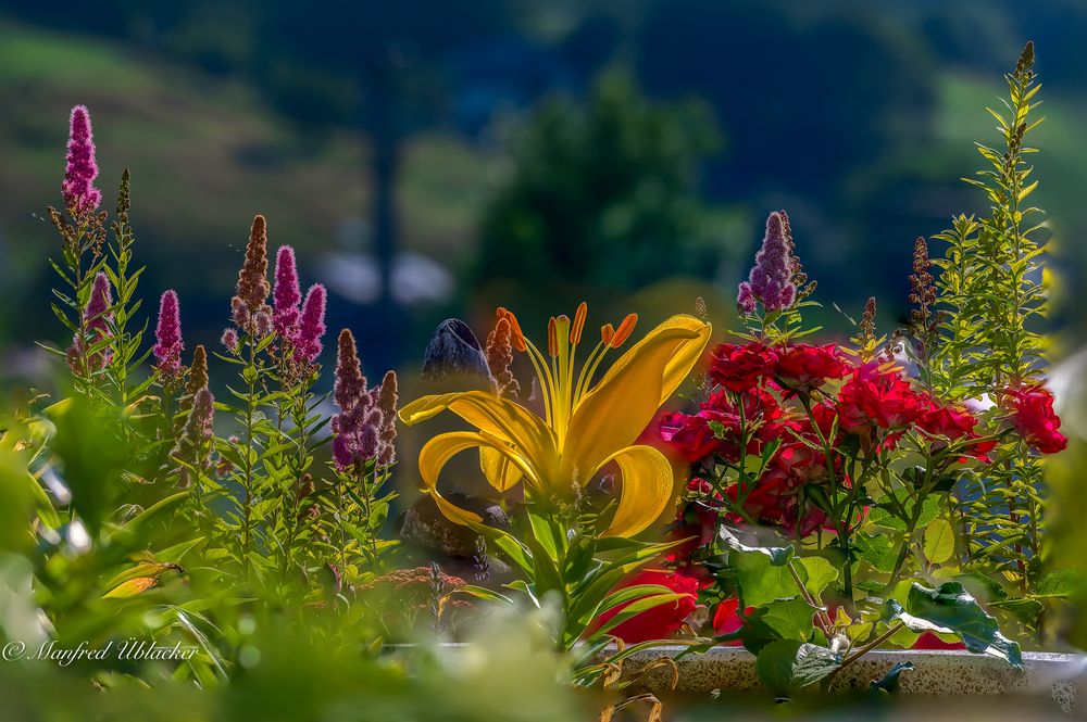 Gartenallerlei ...