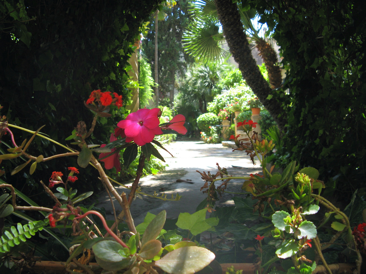 Gartenanlage in Mallorca