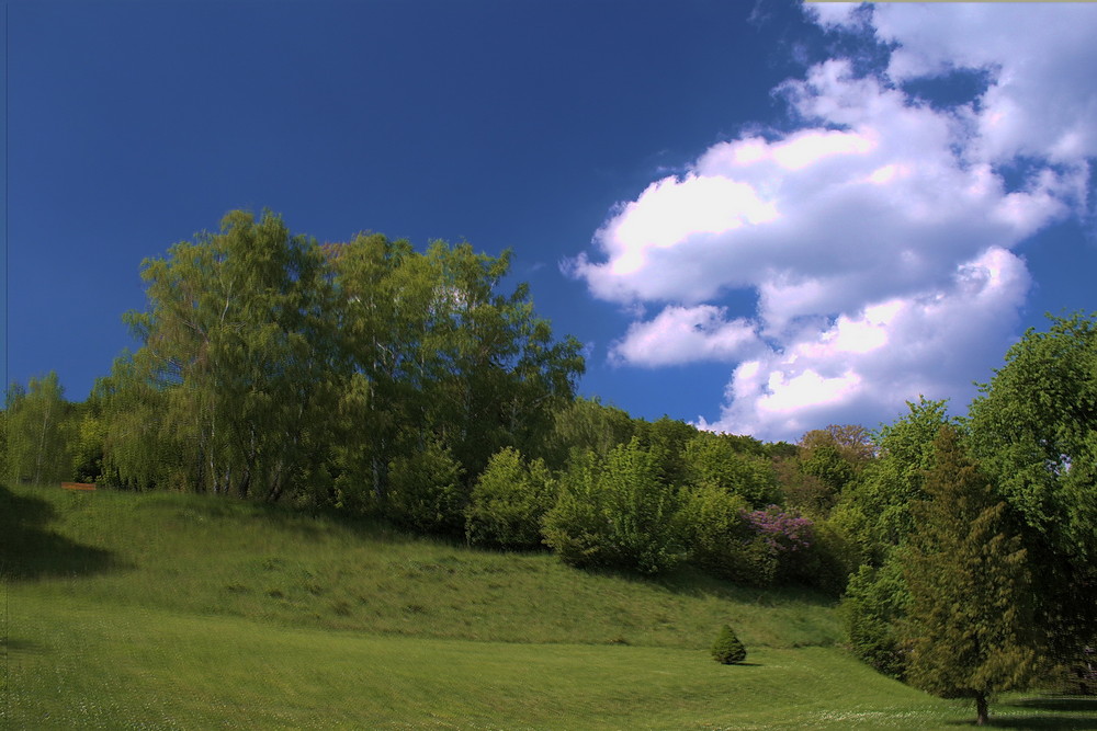 Gartenanlage SK Alland HDR