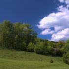 Gartenanlage SK Alland HDR