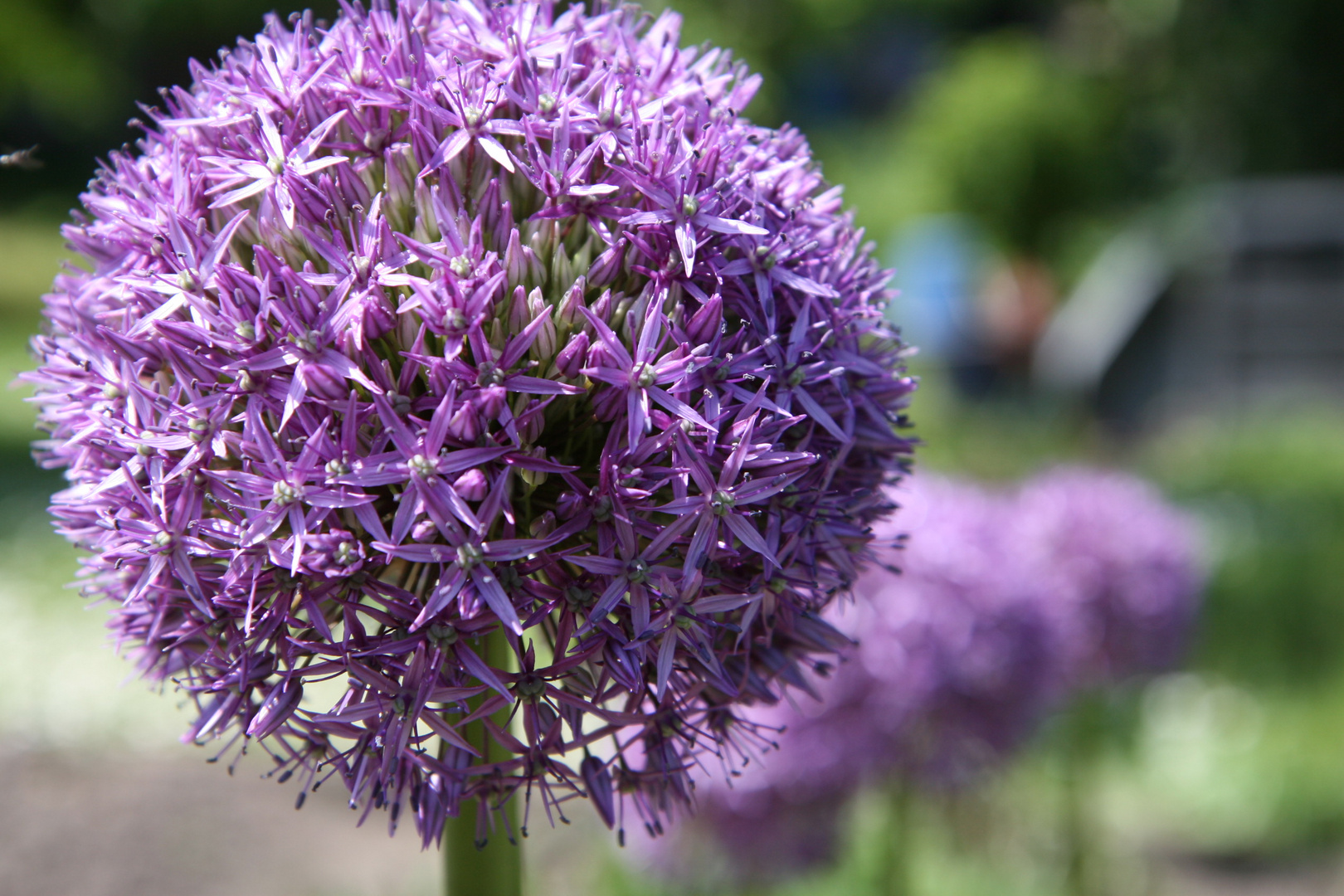 Gartenansichten