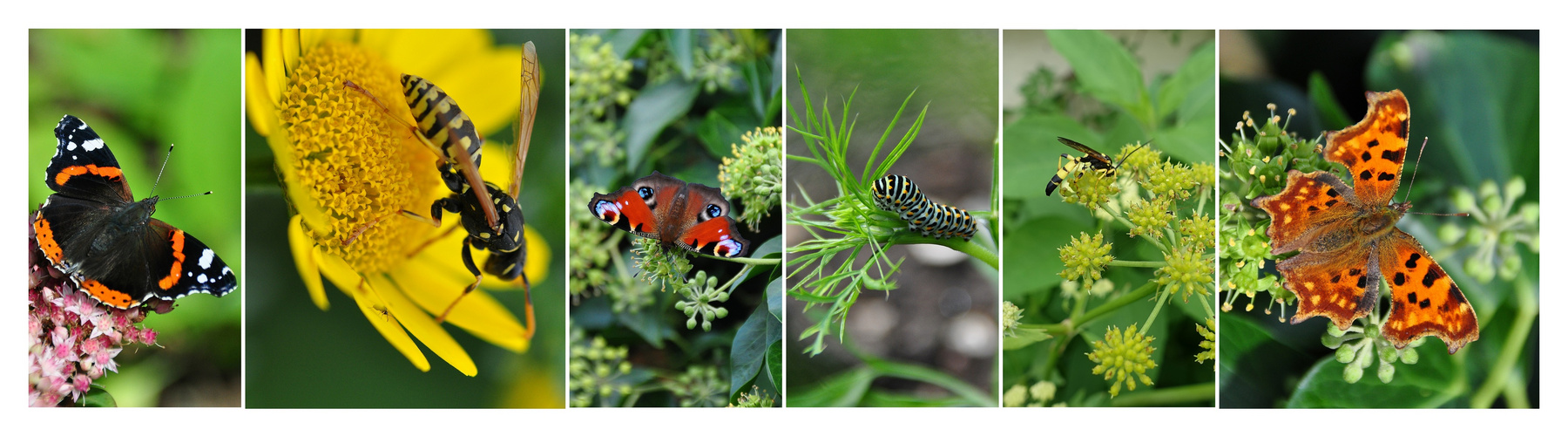 GartenArbeit 2