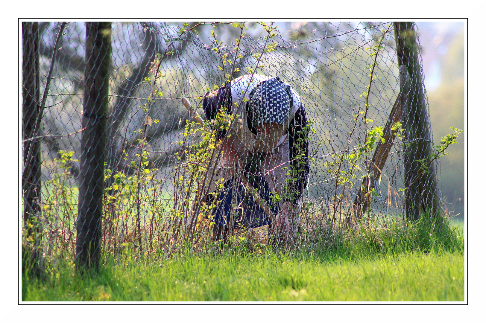 Gartenarbeit