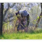 Gartenarbeit