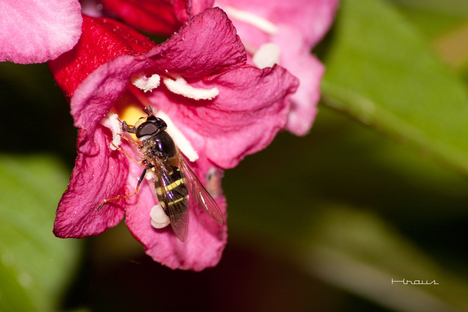 Gartenarbeit