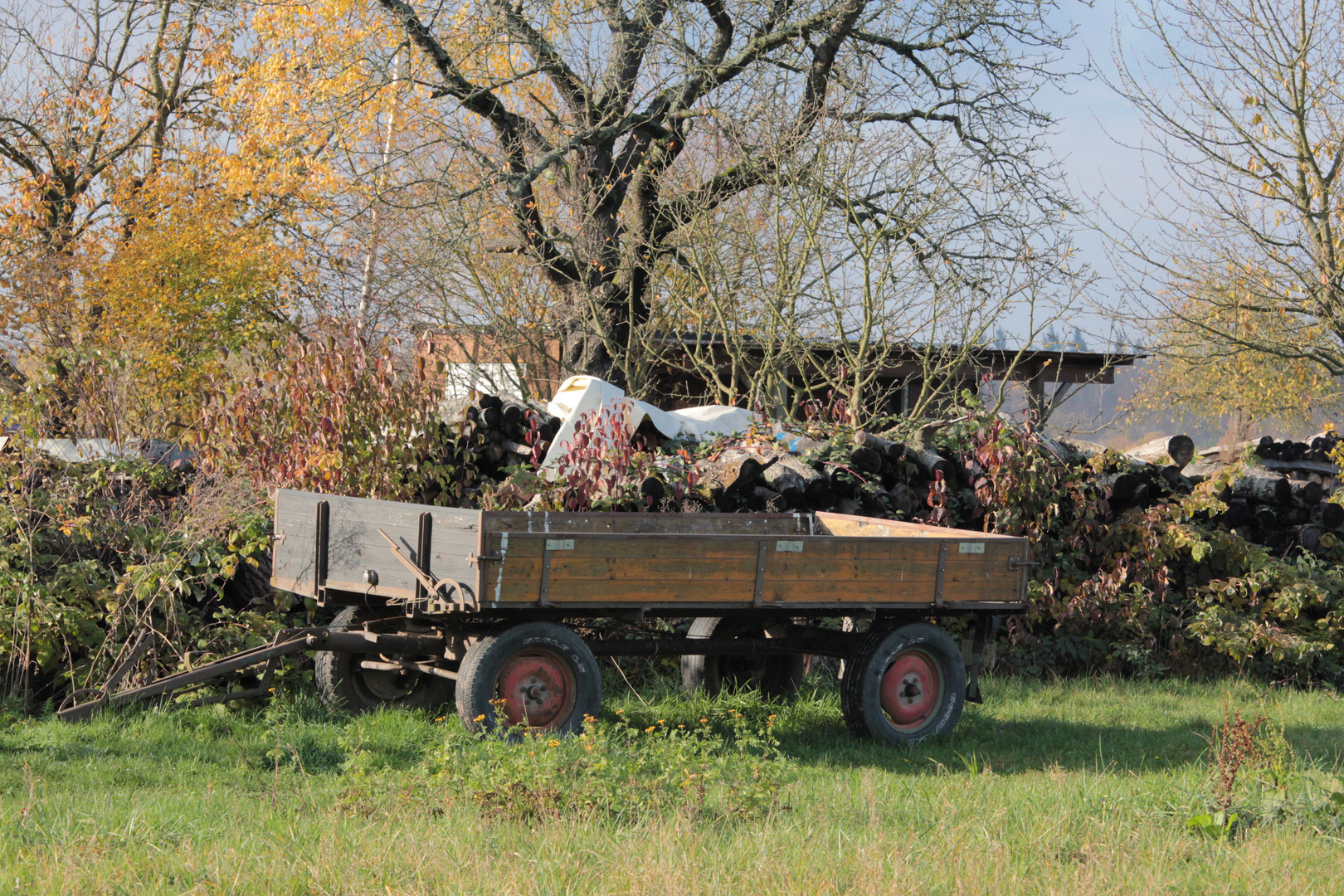 Gartenarbeit