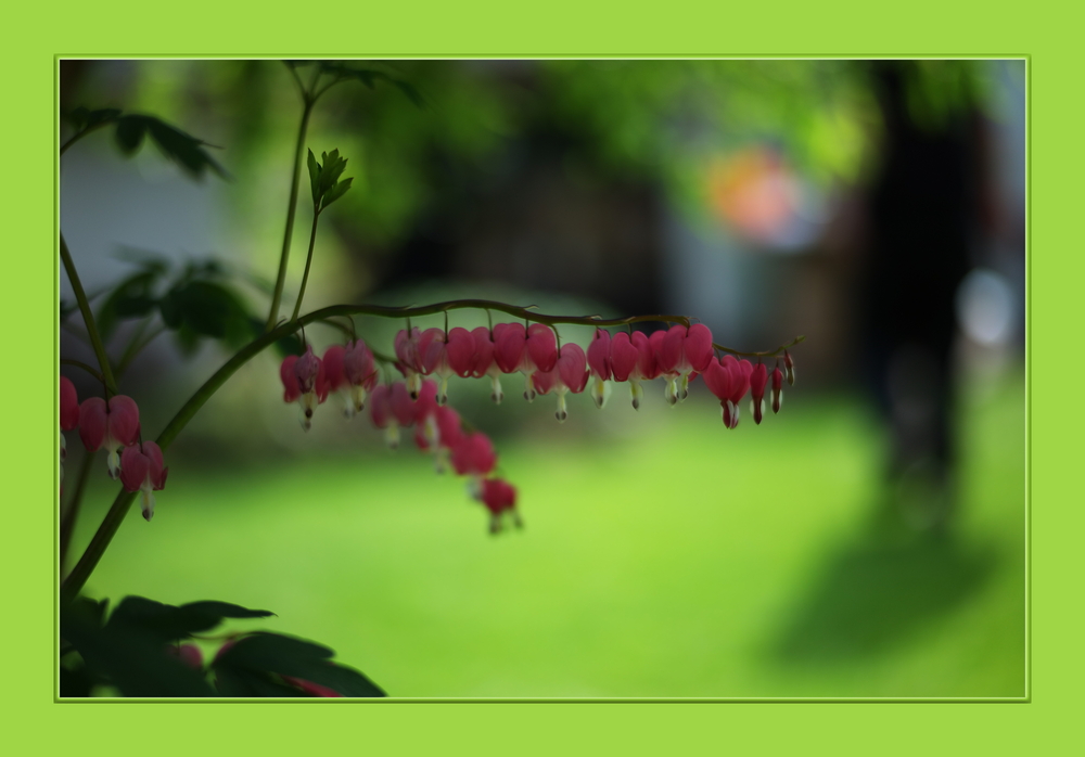 Gartenarbeit