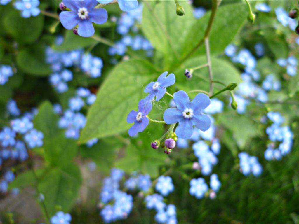 Gartenarbeit kann schön sein