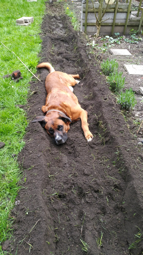 Gartenarbeit - Kurze Pause