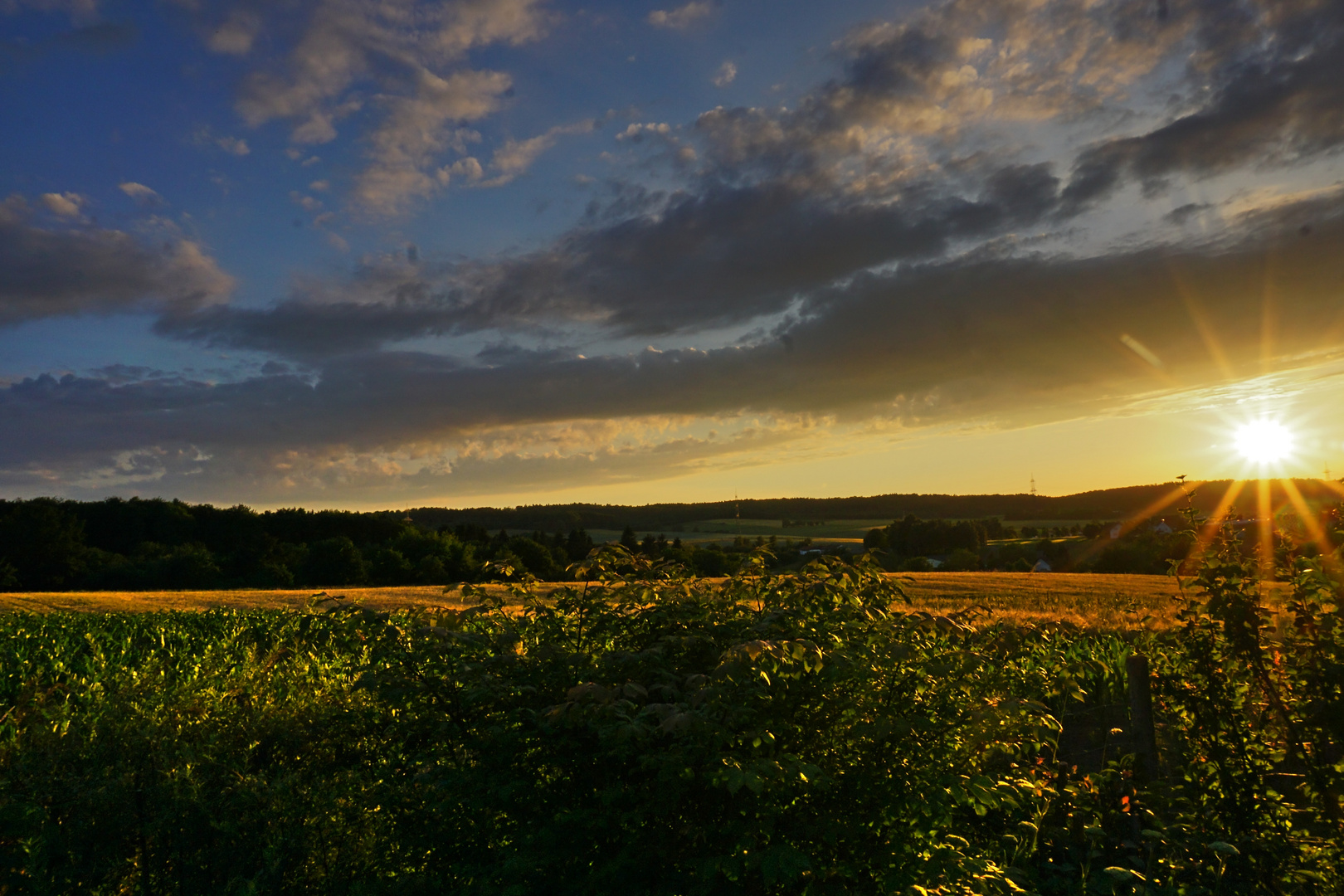 Gartenausblick