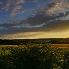 Gartenausblick