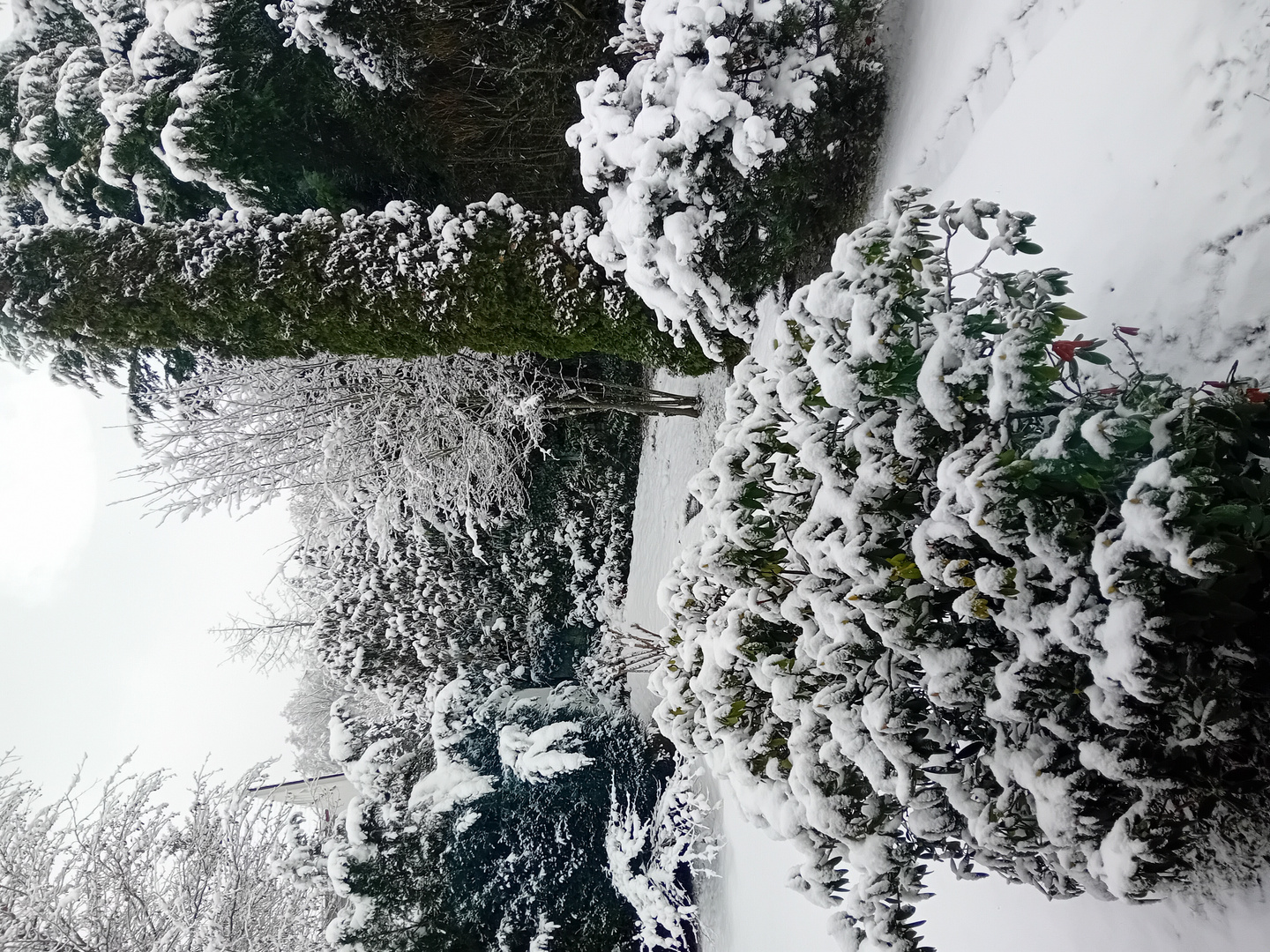 Gartenausblick.... ist mir entschieden zu kalt.... 