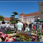 Gartenausstellung in Wiblingen.