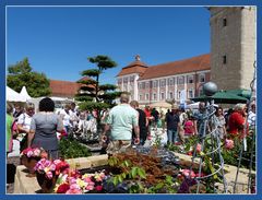 Gartenausstellung in Wiblingen.