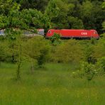 Gartenbahn /2 ... losgelassen