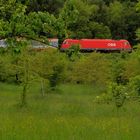 Gartenbahn /2 ... losgelassen