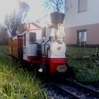 Gartenbahn im Morgentau