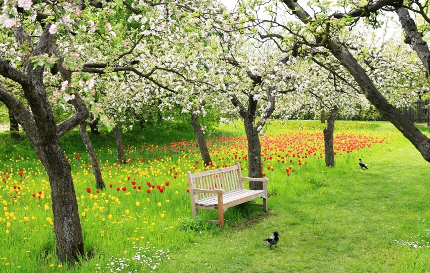 Gartenbank im Frühling