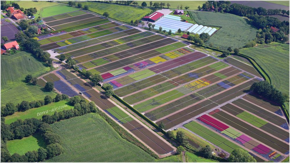 Gartenbau - ganz oben (Luftbild)