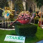 Gartenbaumesse in Tulln Bild 3