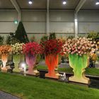 Gartenbaumesse  Tulln 6