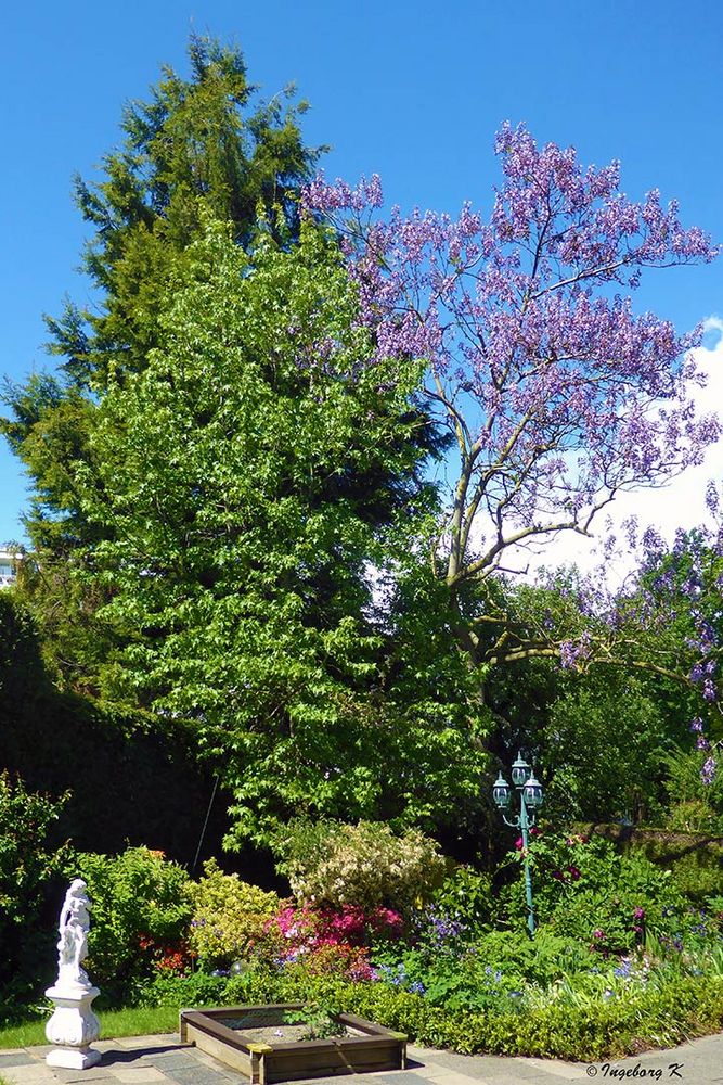 Gartenbeet im Mai