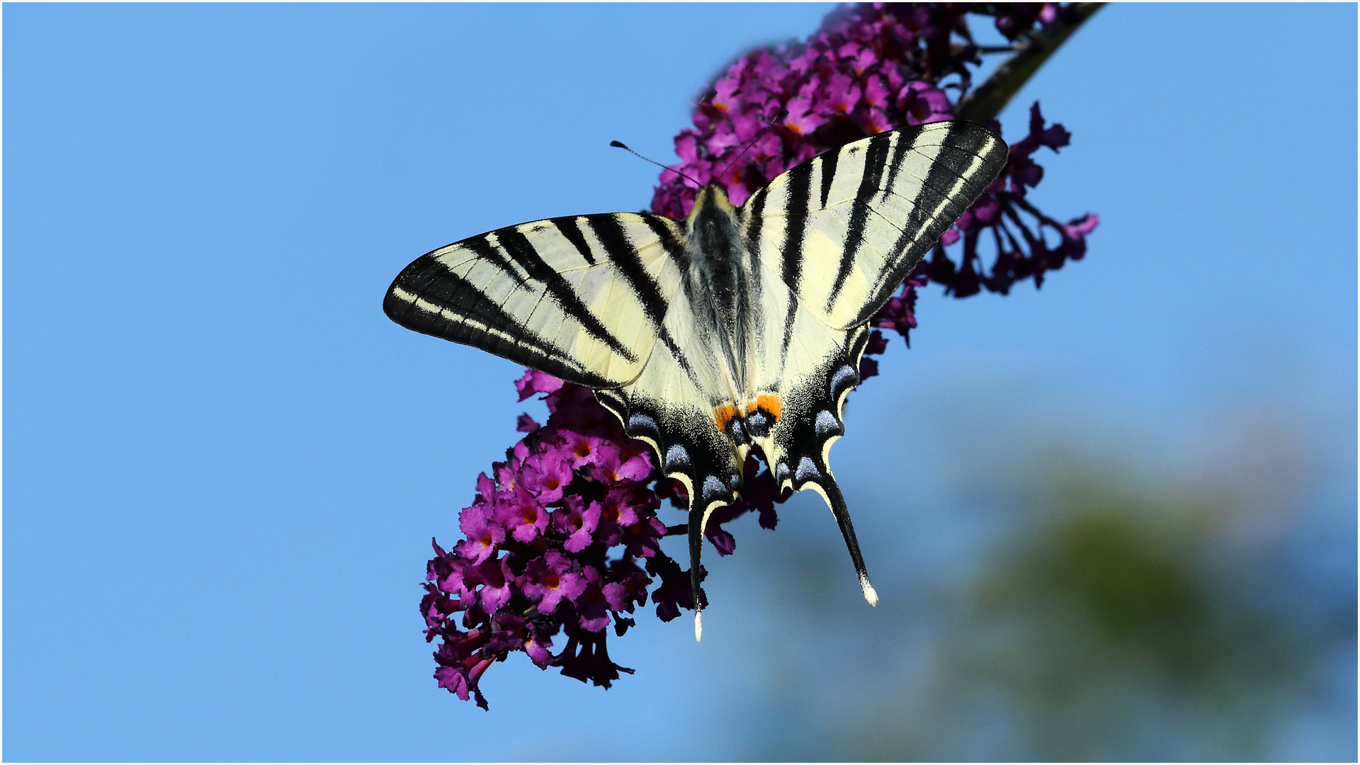 Gartenbesuch