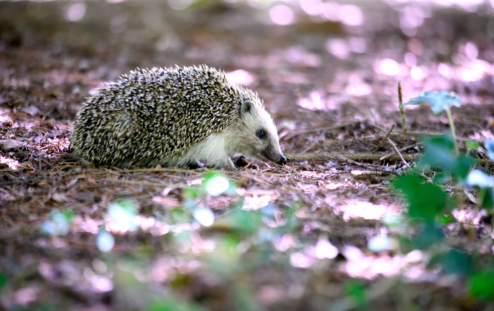 Gartenbesuch