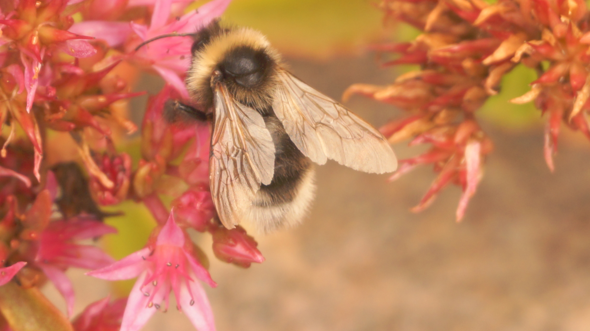 Gartenbesuch