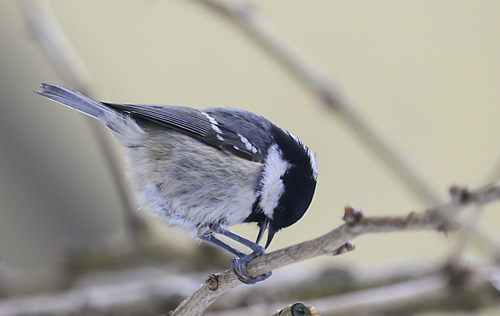 Gartenbesuch