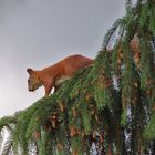 Gartenbesuch