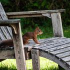 Gartenbesucher