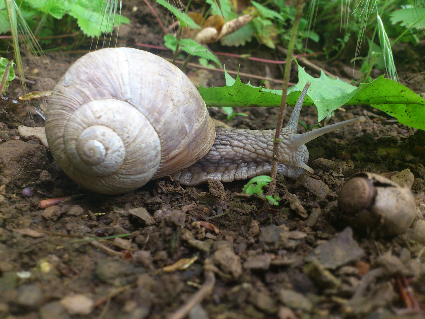 Gartenbesucher mit viel Zeit