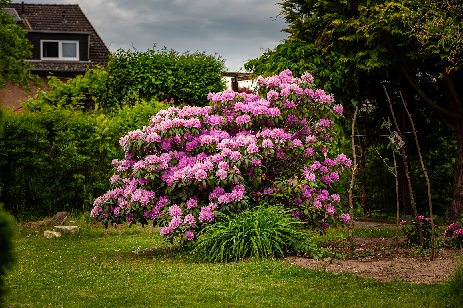 Gartenbild