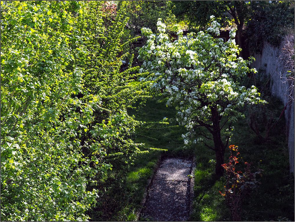 Gartenblick