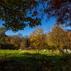 Gartenblick