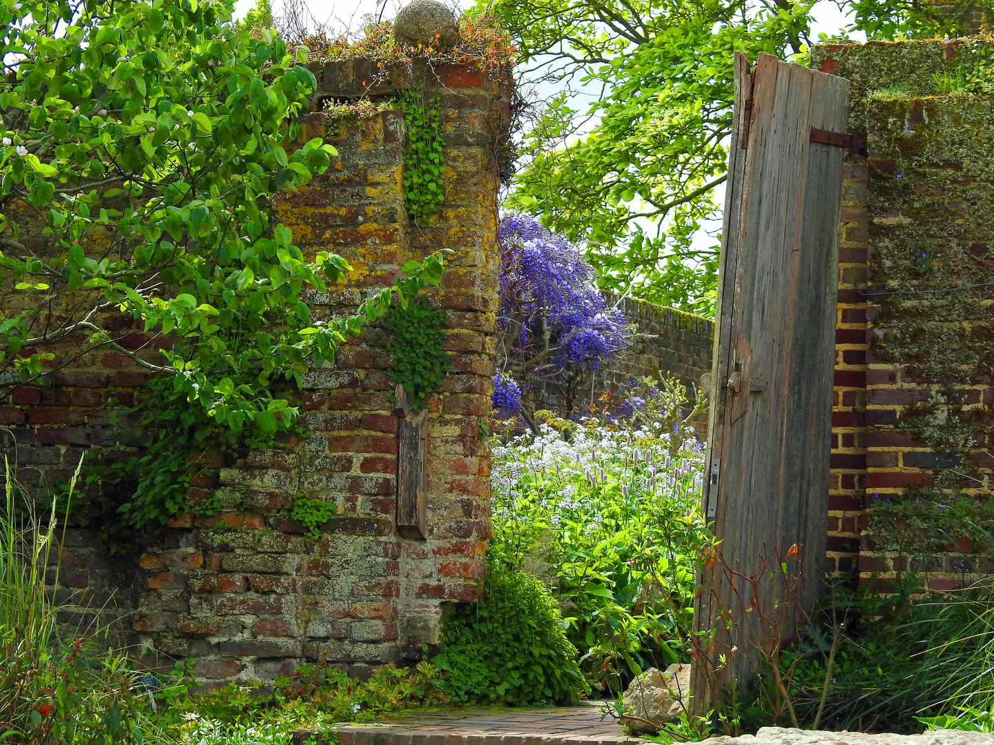 Gartenblick 