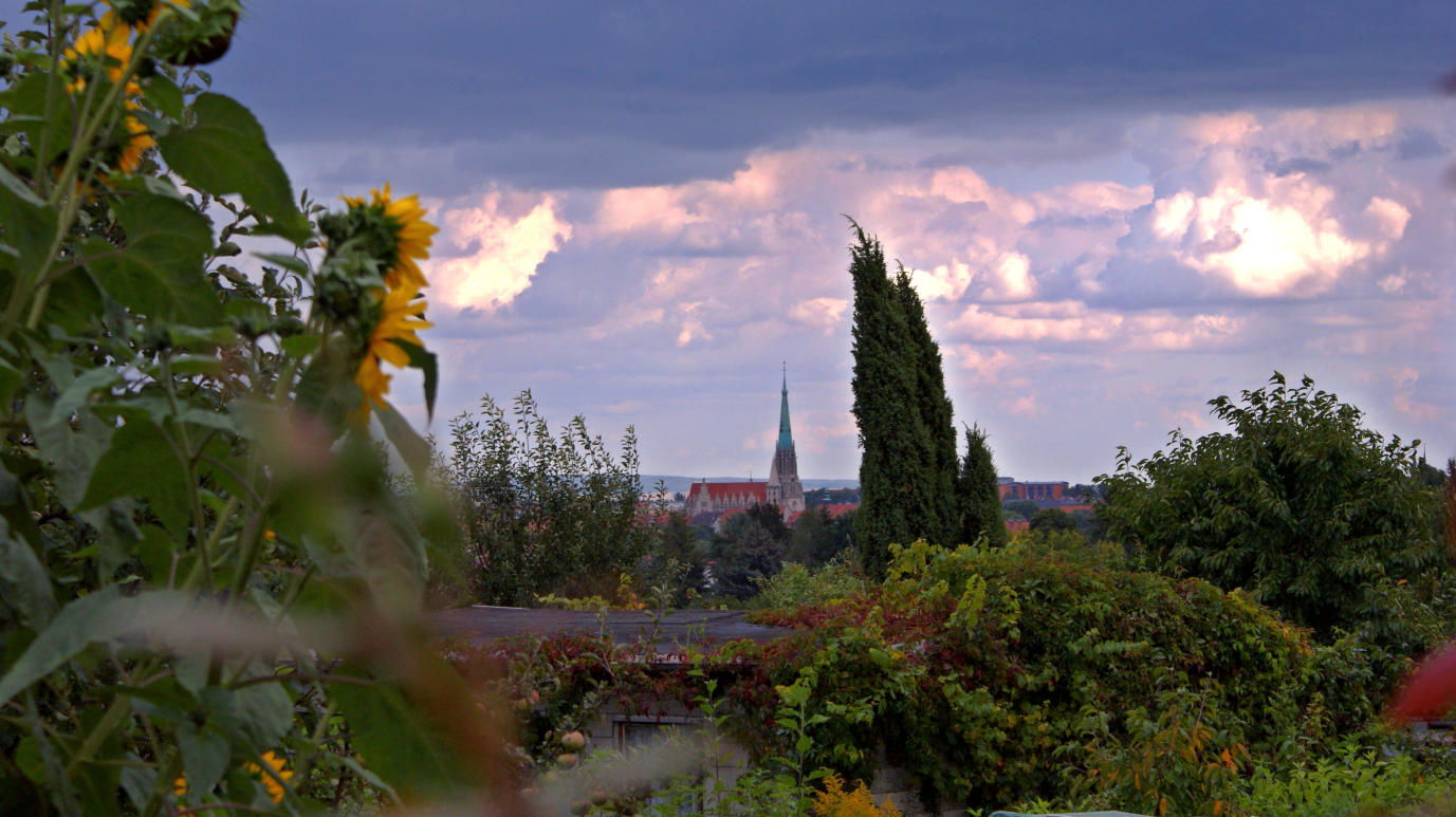 Gartenblick auf Mühlhausen