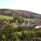 Gartenblick auf's Dorf