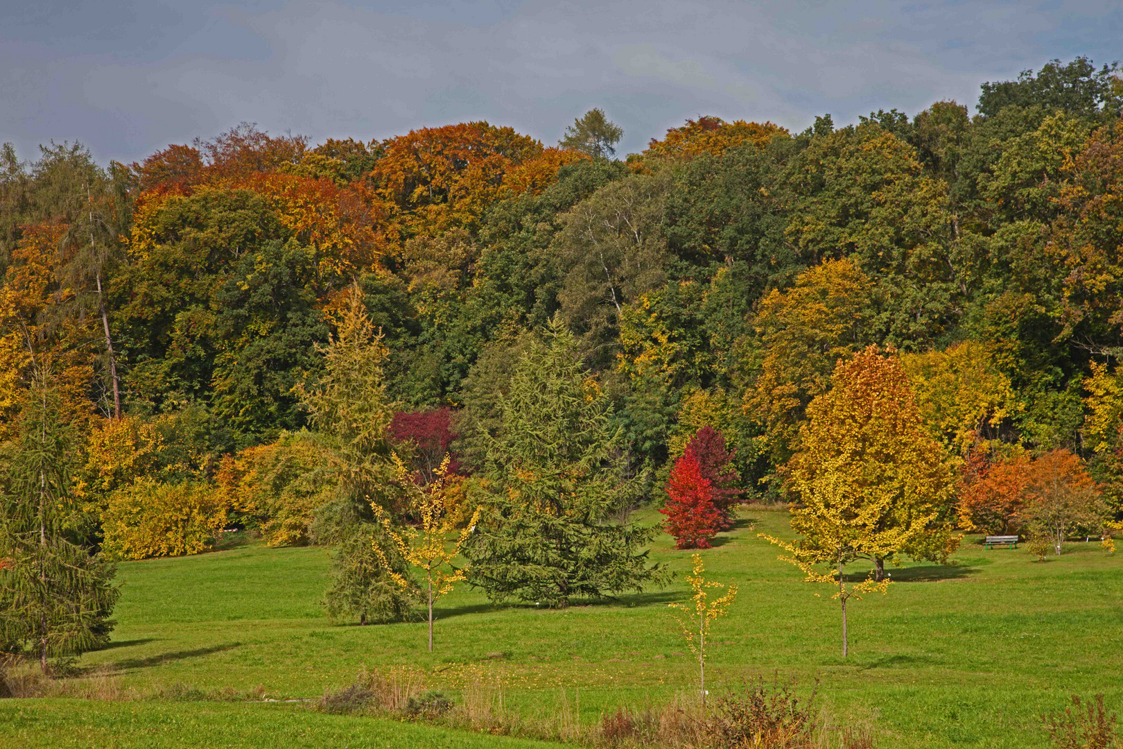 Gartenblick - Botanischer Garten Ulm